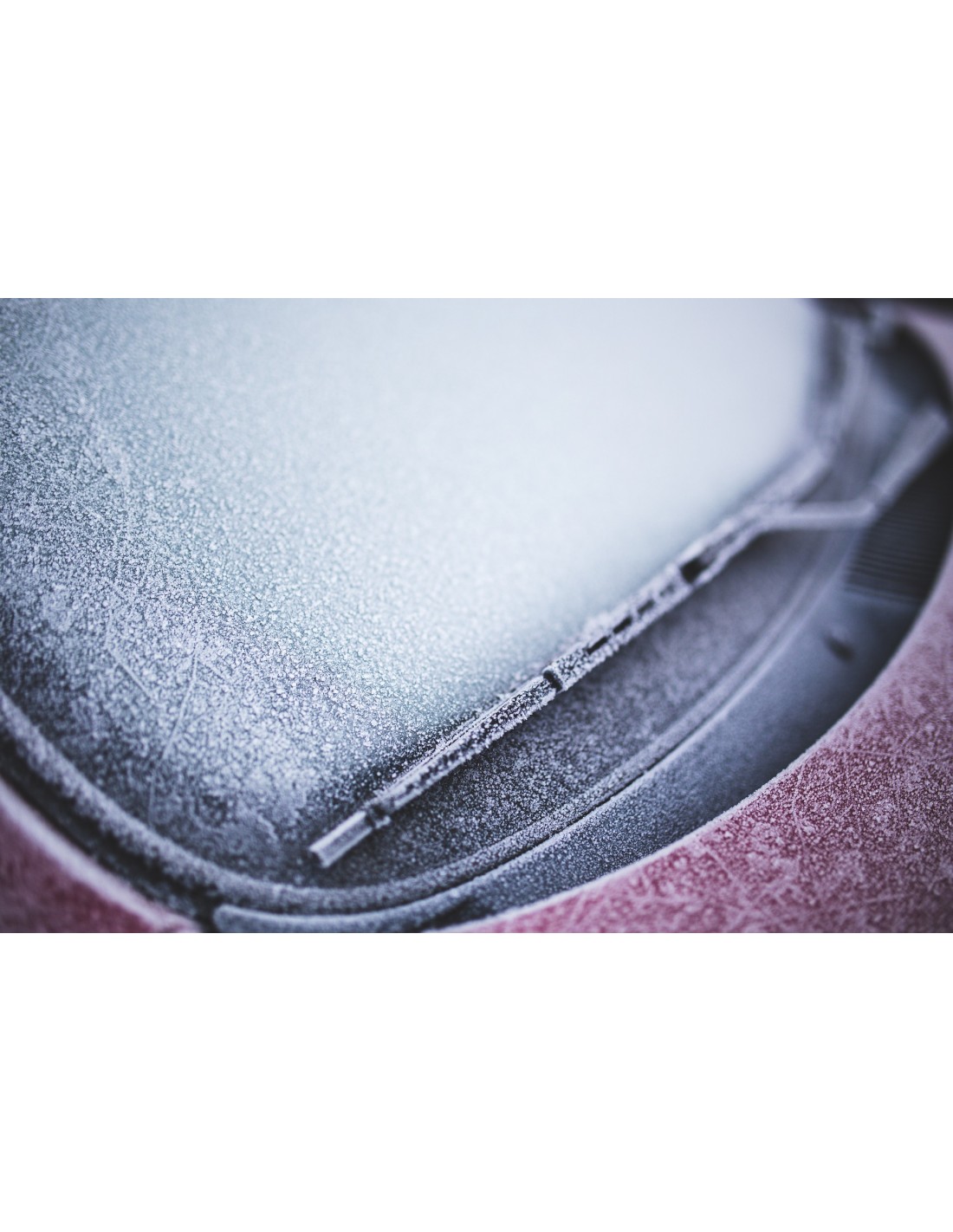Lave glace OCL LAVE GLACE -20°C HIVER Carton 4x5L